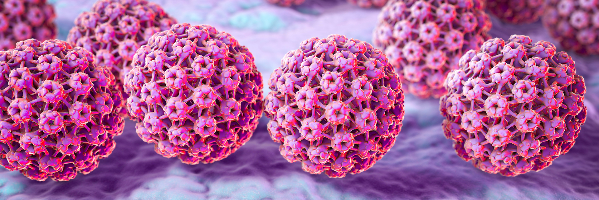 Prezervativ și condilom, Infectia cu HPV din perspectiva dermatologului